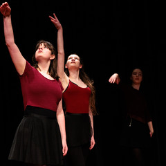 FL_DDE2025-Levi Baruch-0065.jpg